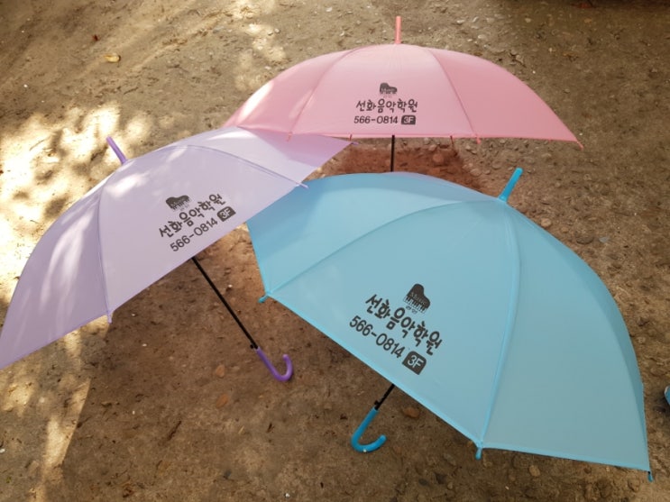 선화음악학원 이미지