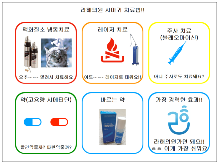 신데렐라성형외과의원 이미지