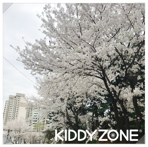 키디핏 이미지