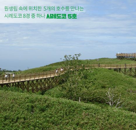시원관광 이미지