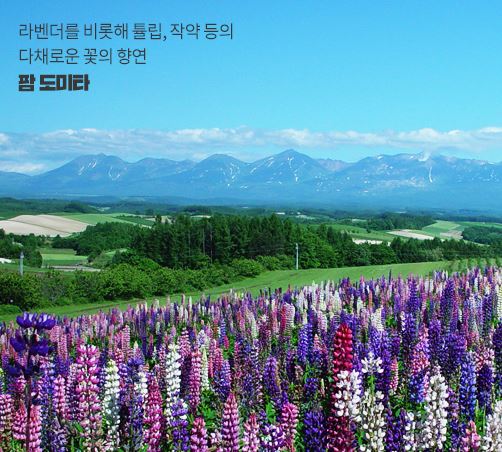 시원관광 이미지