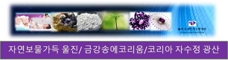 금강자연약초 이미지
