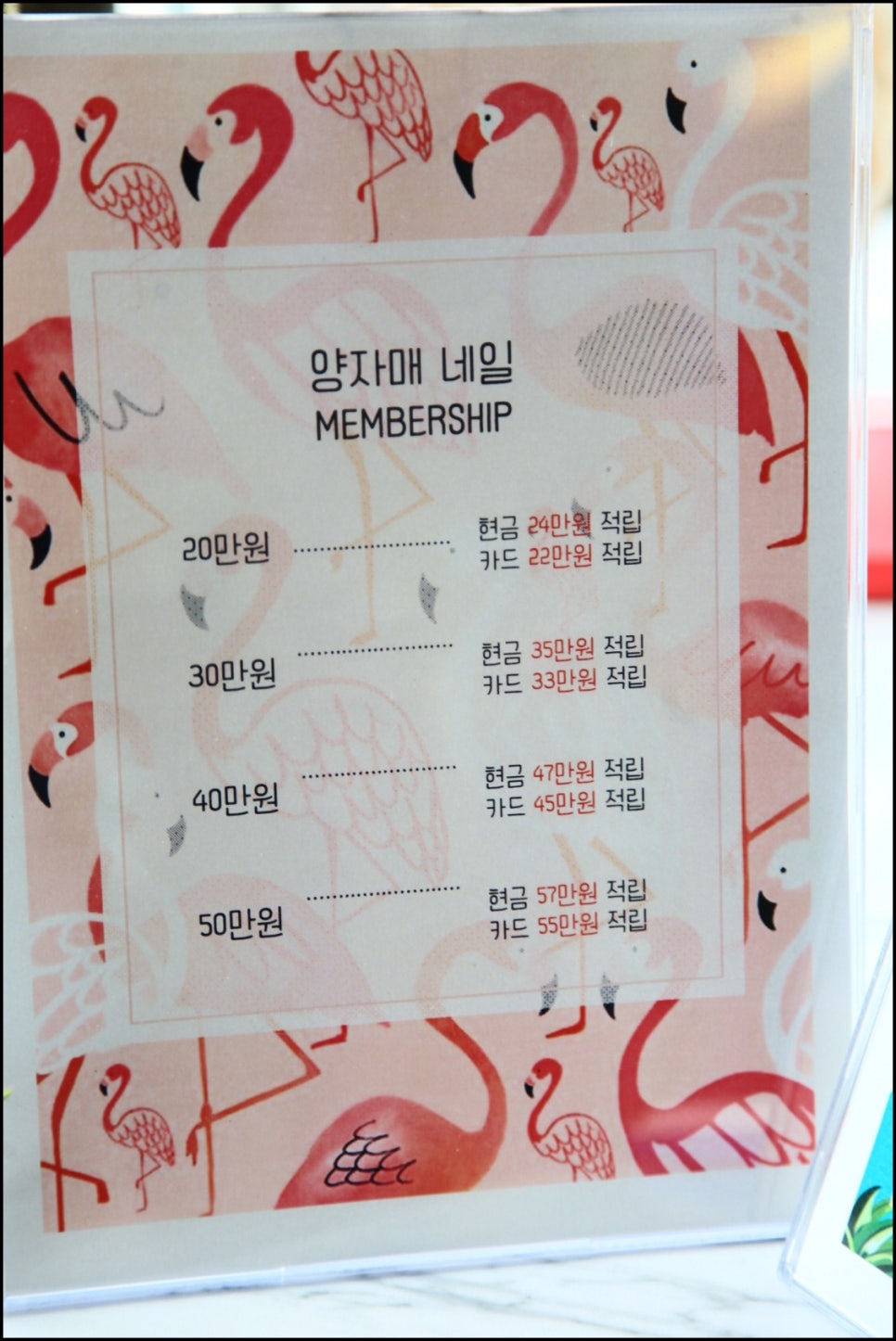 네일도예뻐지는날 이미지