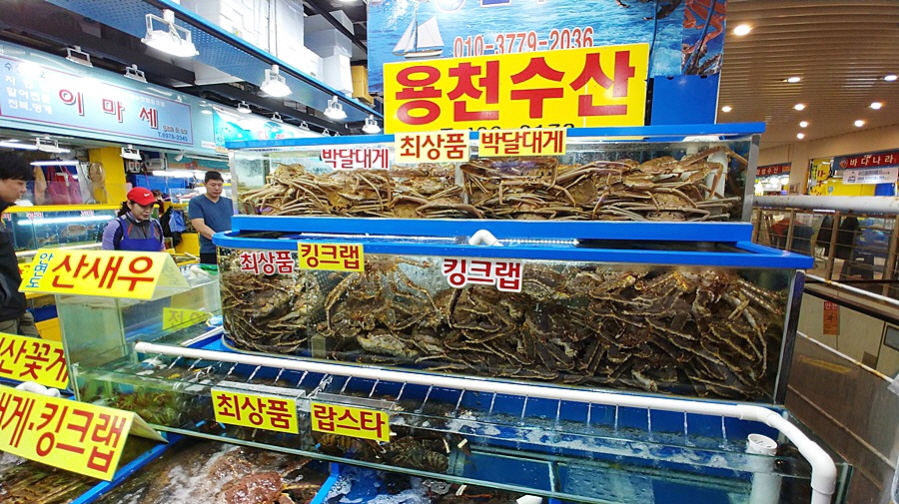 가락싱싱 이미지