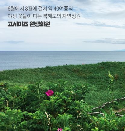 시원한나라 이미지