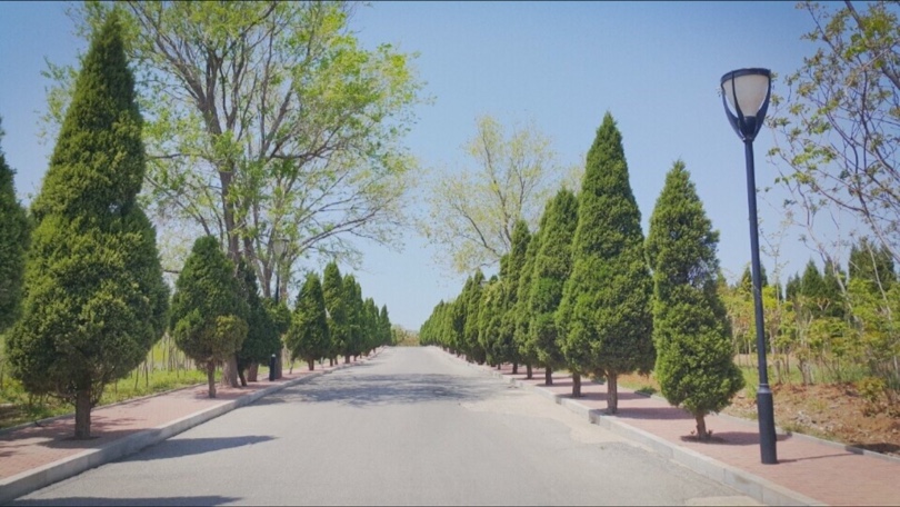 산들여행사 이미지