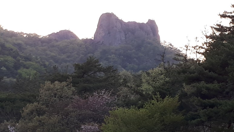 보니타정원 이미지