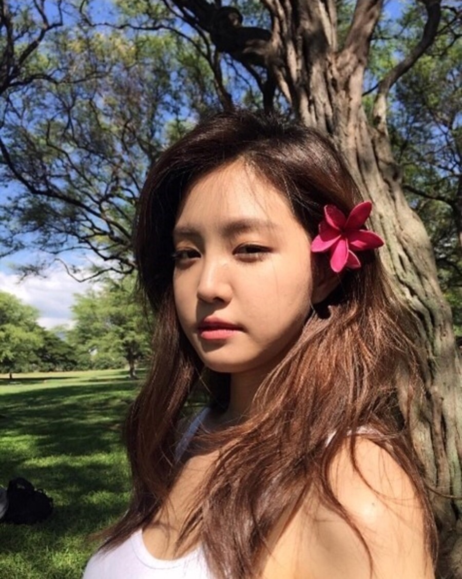 도개상회 이미지