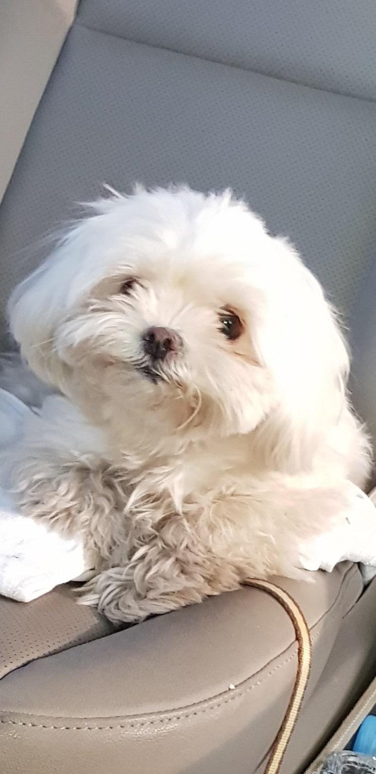 씨컴 이미지