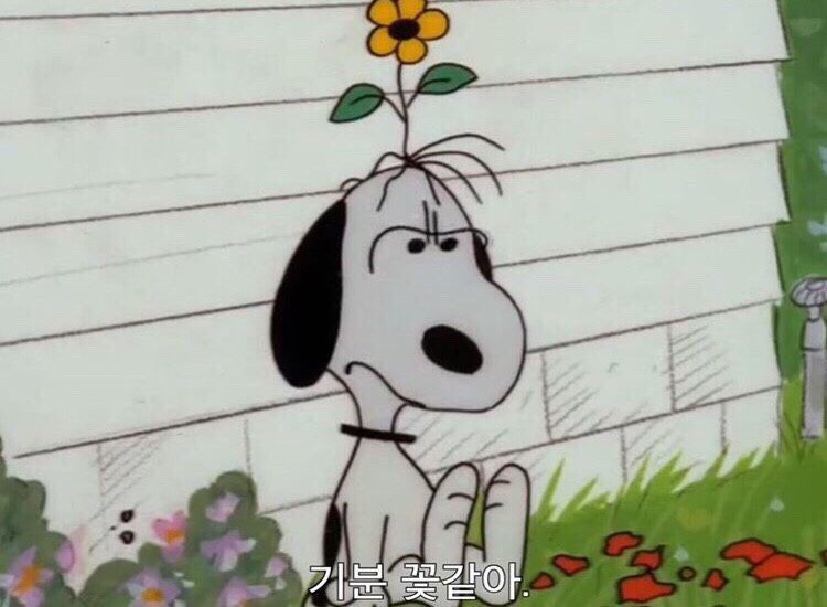 부리나참숯불바베큐 이미지