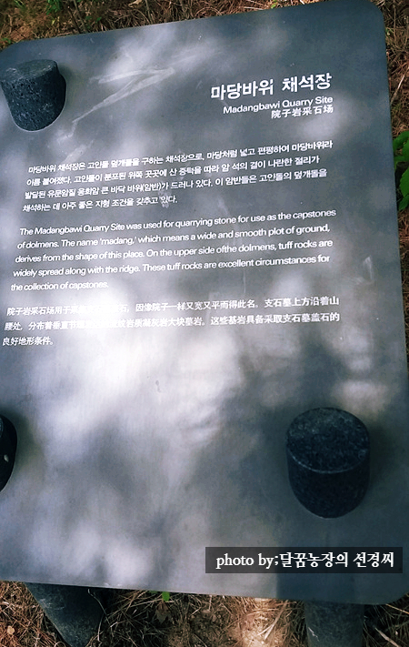 달콤한꿈을꾸는베리농장 이미지