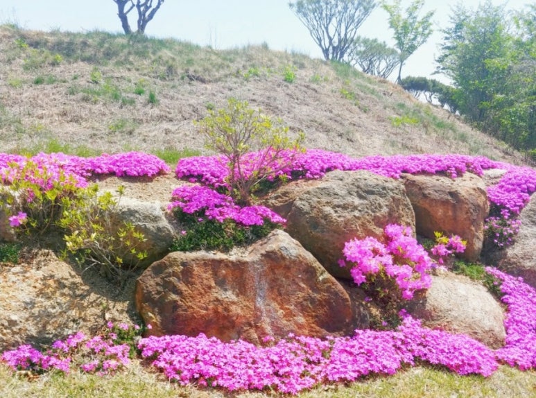 행운꽃농원 이미지