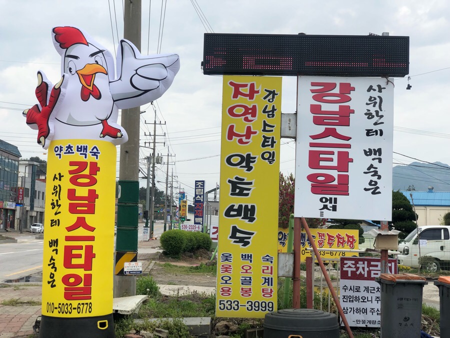 강남스타일약초백숙 이미지