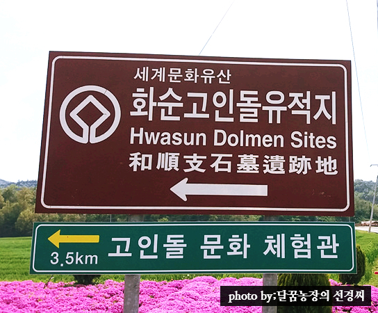 달콤한꿈을꾸는베리농장 이미지