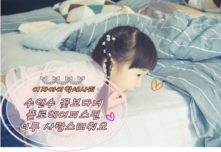 플로피스 이미지