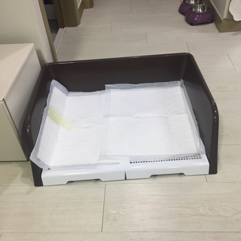 베베넷 이미지
