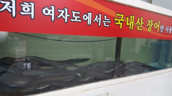 장어랑여자랑 이미지