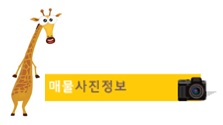 금왕현대마트 이미지