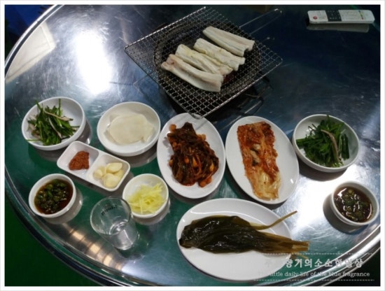 왔다산아나고 이미지