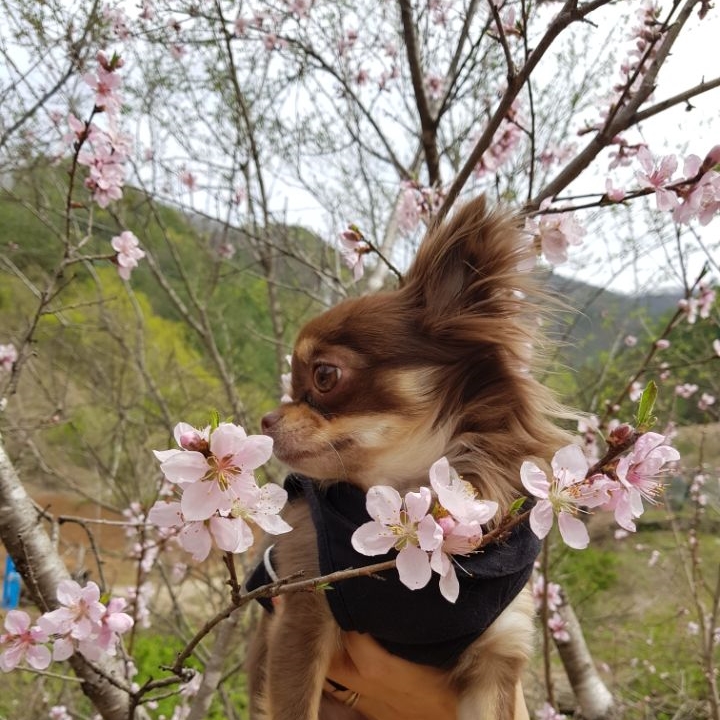 숲속작은민박 이미지