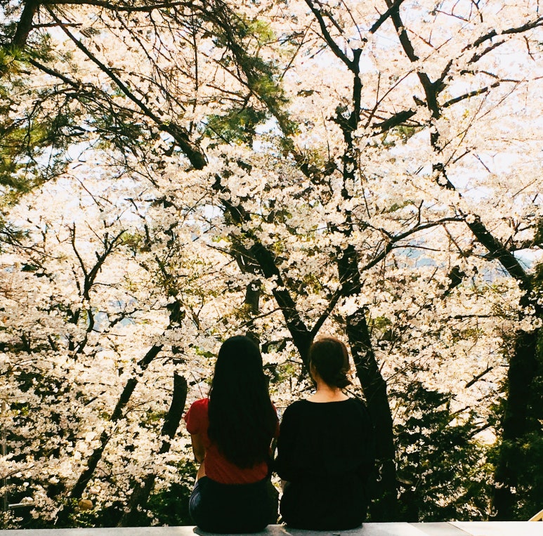 보보투어 이미지