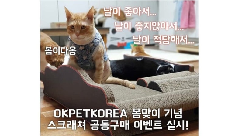 오케이공구 이미지