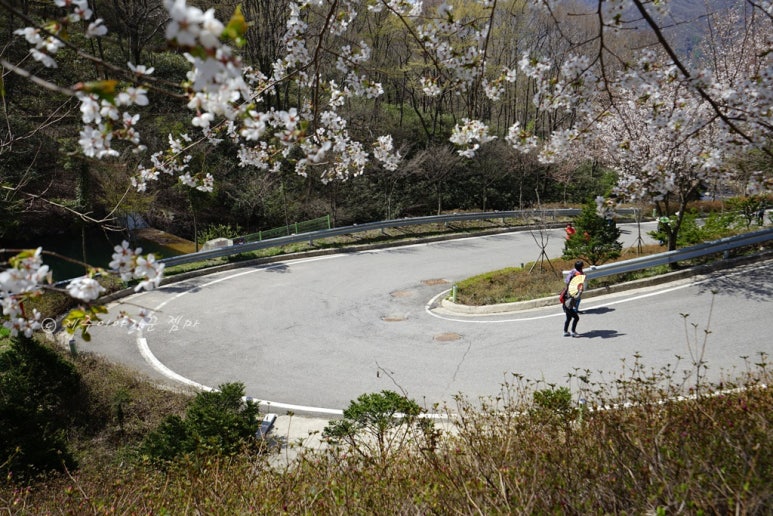 섬진강환경 이미지