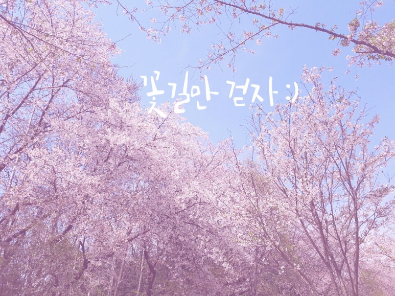 꽃길만걷자 이미지
