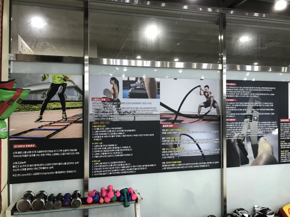 피제이미트 이미지