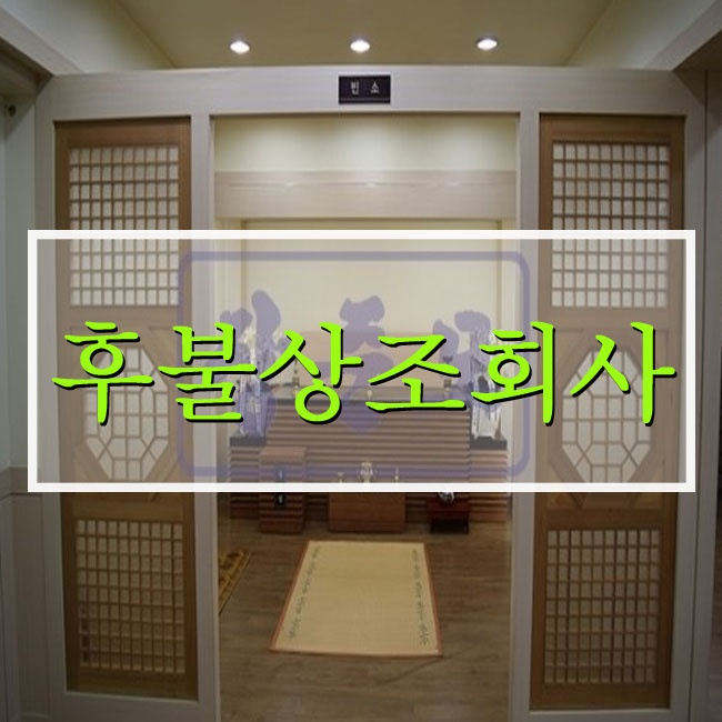 도리상조 이미지