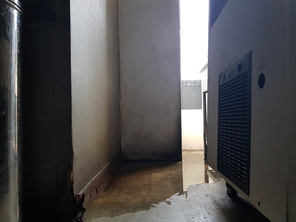 타잔인테리어 이미지