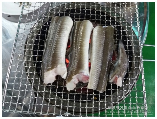 왔다산아나고 이미지