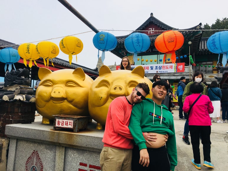보보투어 이미지