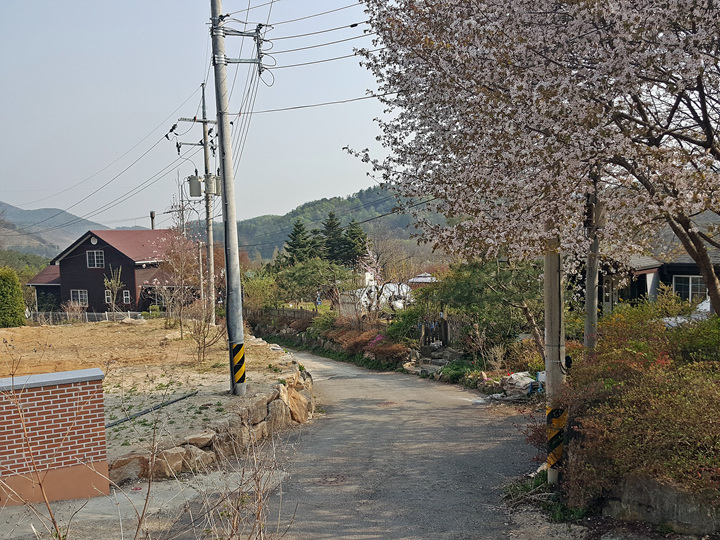 옥천풍경 이미지