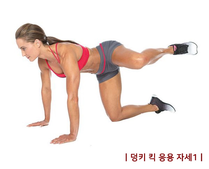 덩키 이미지