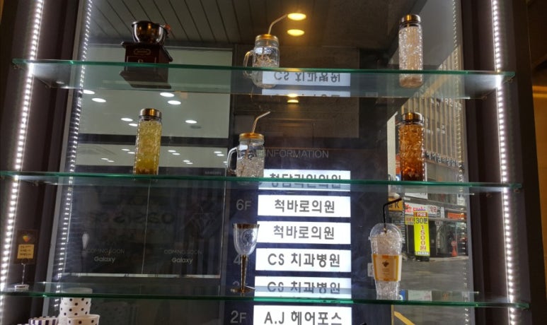 오아시스캐럿 이미지