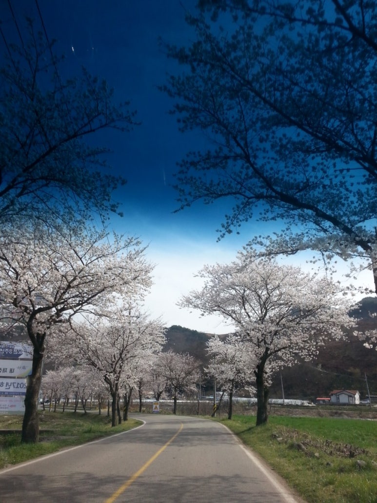 고동골펜션 이미지