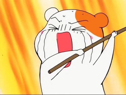 맷셰프 이미지