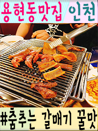 춤추는갈매기 이미지