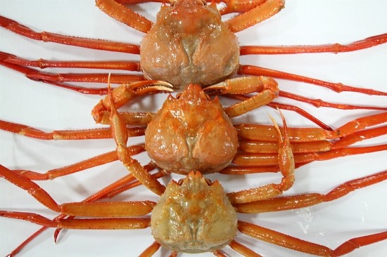 일오유통 이미지