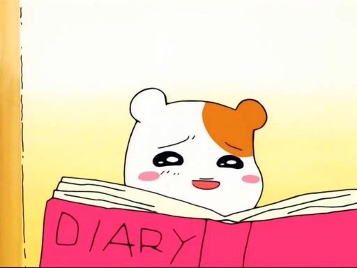 맷셰프 이미지