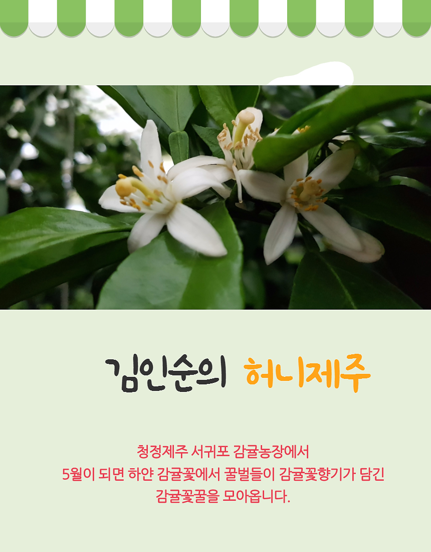 김인순의허니제주 이미지
