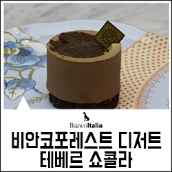 비안코 포레스트 이미지
