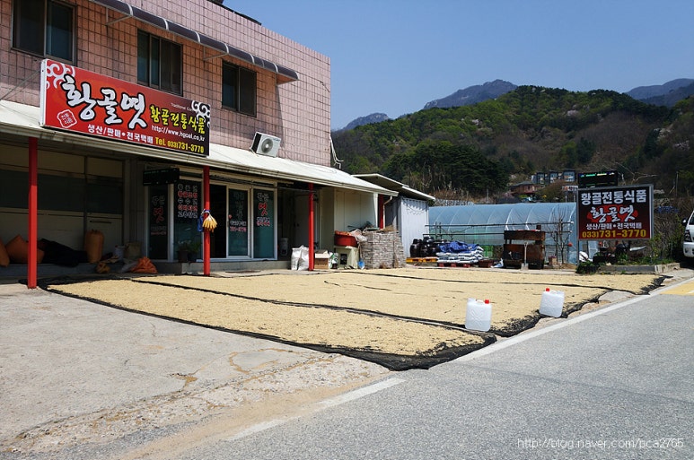 황골전통식품 이미지