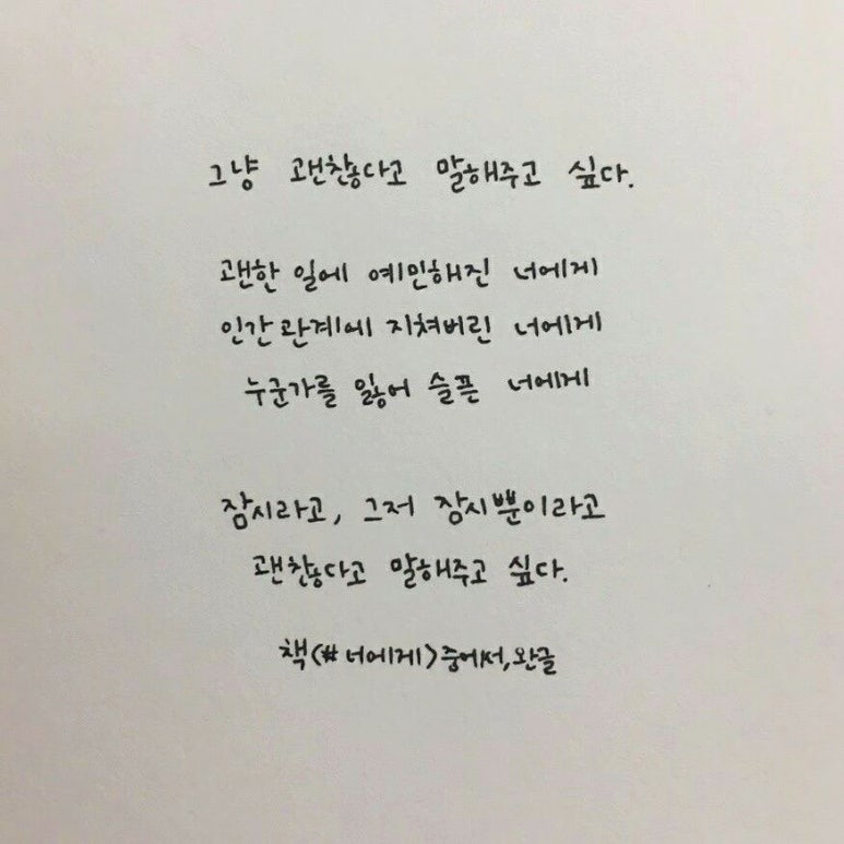 씨 식당 이미지