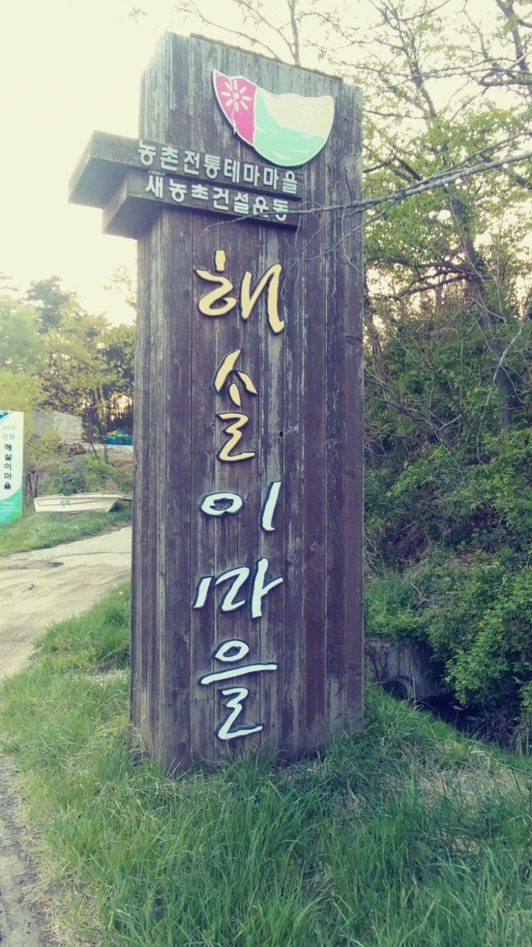 해살이 이미지