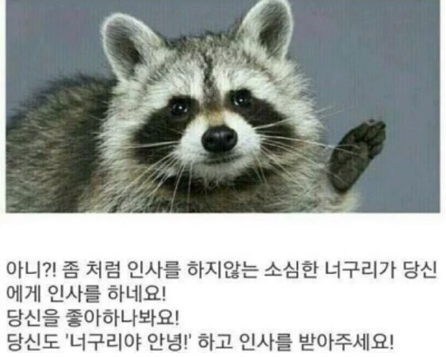 꾸꾸네 이미지