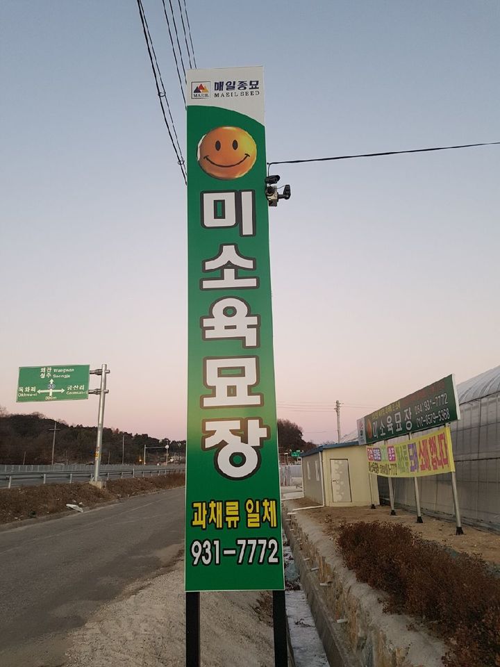 미소육묘장 이미지