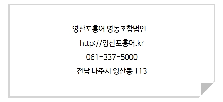 영산포홍어영농조합법인 이미지