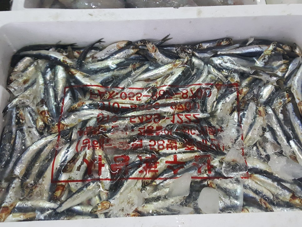 동왕산낙지 이미지